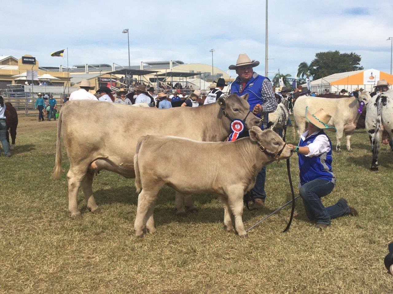 Oakvale Never Enough Grand Champion Square Meaters Female BEEF 2021