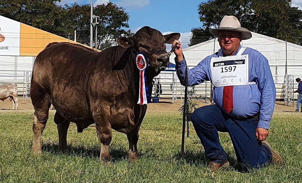 Oakvale Real Time Beef 2021 GRAND CHAMPION SQUARE MEATERS BULL
